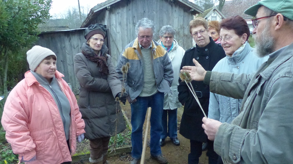 Comment reconnatre la varit cultive ?